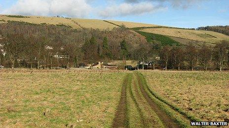 Scottish farmland prices at record high, surveyors report - BBC News