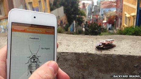 The mobile phone app that controls the cockroach