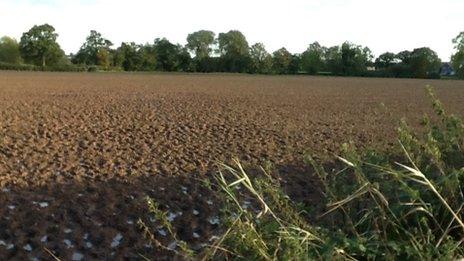 Field in Leicestershire