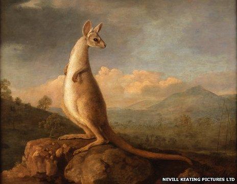 Kongouro from New Holland by George Stubbs