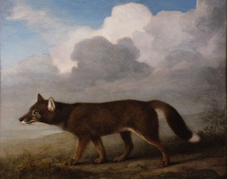 Portrait of a Large Dog by George Stubbs