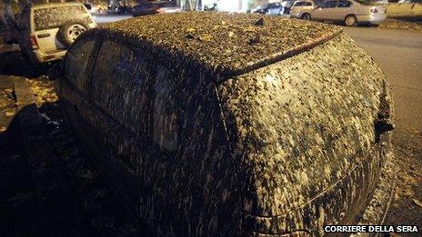 Car covered in bird droppings