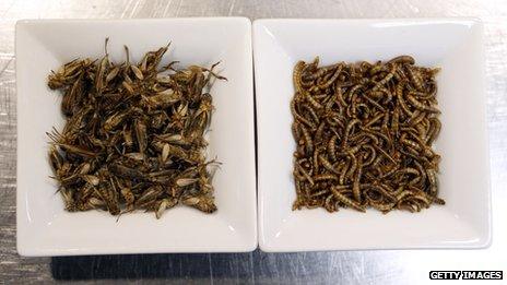 Cricket and worms at Aphrodite restaurant