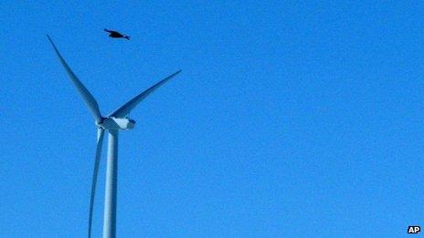 Golden eagle flies over wind turbine in Wyoming (file photo)