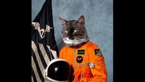 Surfing the Void by The Klaxons