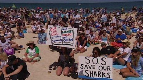 Protest against shark cull in Perth, Australia, on 4 January 2014