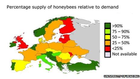 map bees