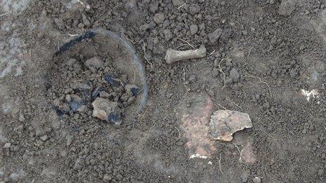 Surface of grave, with pottery, skull and finger bone