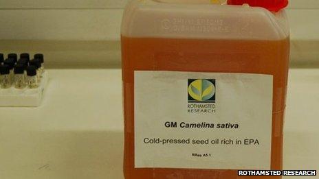 2.5 Litres of GM Camelina oil