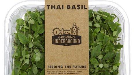 Produce from Growing Underground