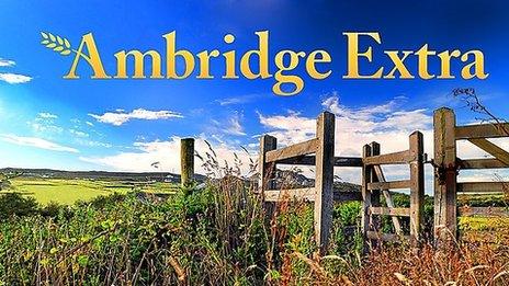 Ambridge Extra