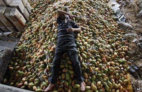 A man is resting on a large pile of mangoes