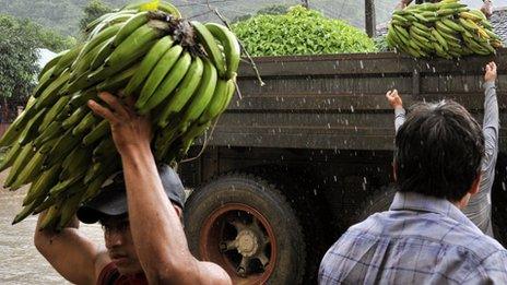 Man unloading bananas from a truck