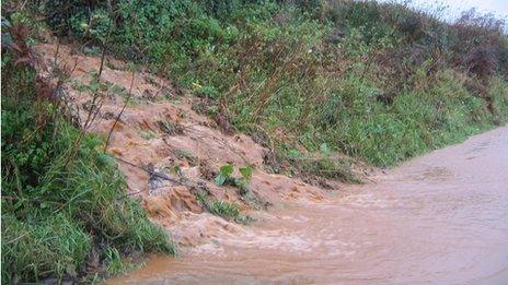 Acres of Exmoor 're-wetted' and restored to peat bog - BBC News