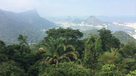 Rio view