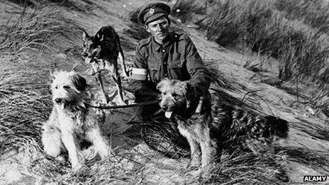 A WW1 soldier with messenger dogs