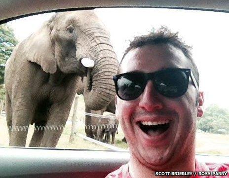 Scott Brierley and Latabe the elephant