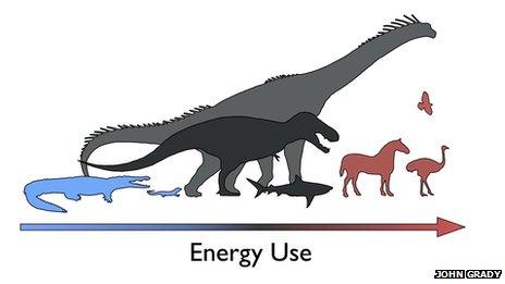 dinosaurs as mesotherms