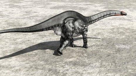 Warm-blooded fish traps its own heat in the deep - BBC News