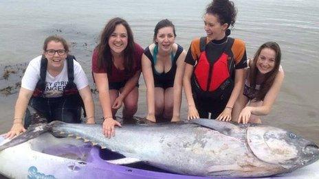 Five girls with blue fin tuna
