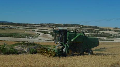 A combine harvester in a wheat field