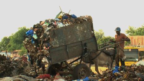 Donkeys tipping waste in Mali