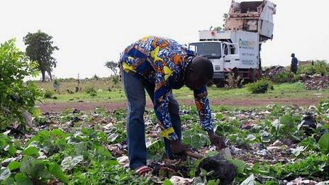 Bafing Traore farming with a Macrowaste truck in the background