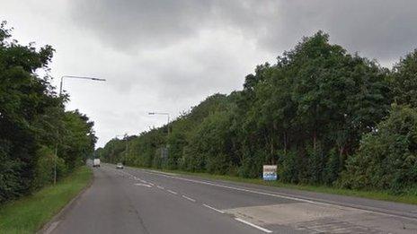 Colwick Loop Road has thousands of trees