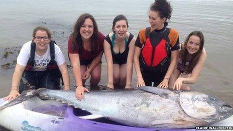 Group of friends with bluefin tuna