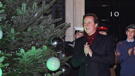 David Cameron at the lighting of the Downing Street Christmas tree earlier this month