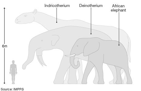 График показывает размер слона по сравнению с предками динозавров