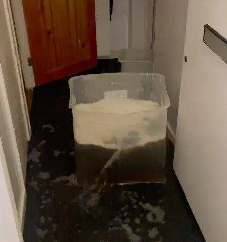 Bucket on the floor to catch leaking water from ceiling
