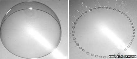 Mystery Popped: Science of Bubbles Decoded