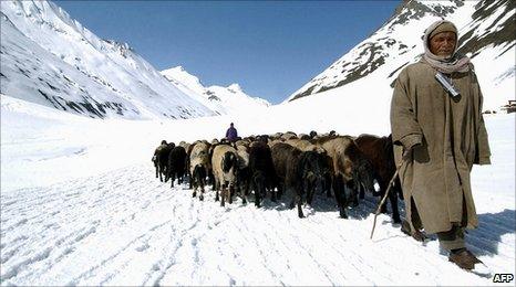 Himalayan herdsman on glacier
