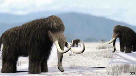 Artist's impression of mammoths in North America
