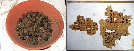 Seeds and papyrus from ancient Egypt