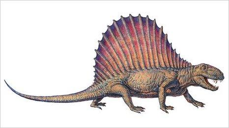 Dimetrodon (SPL)