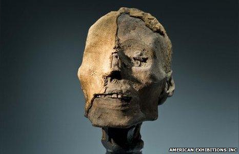 Mummy head (Image: American Exhibitions Inc.)
