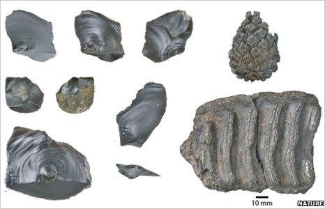 Ancient tool remains discovered in Happisburgh in North Norfolk (Image: Parfitt et al/Nature)