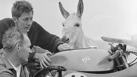 Bill Hawthorne and his mechanic Pat Lynch tuning up his BSA motorbike under the watchful gaze of a local donkey at the Isle of Man TT Races in June 1965.