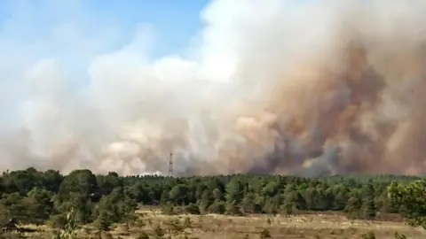 Bill Beaumont Wareham Forest fire