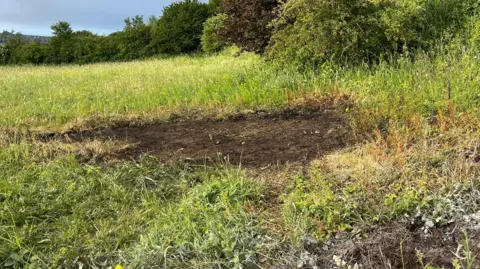 George Carden/BBC A patch of grass left burnt by chemicals.