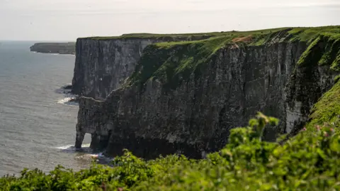 Danny Lawson/PA Wire Landscape photo of two cliff faces with greenery at the top next to the sea. Several white dots can be seen at the nearest cliff face - they are birds.