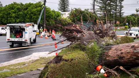 Getty Images Workers fix electricity wires next to a tree uprooted by strong winds from Cyclone Alfred in the suburb of Elanora on the Gold Coast on March 8, 2025.