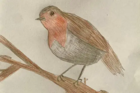 Sam Emanuel A hand drawn image of a robin sitting on a branch is coloured brown, red and white with shading