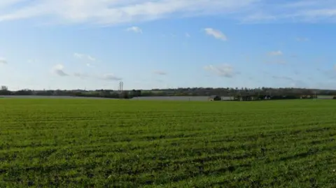 A large green farm field under a pale blue sky 