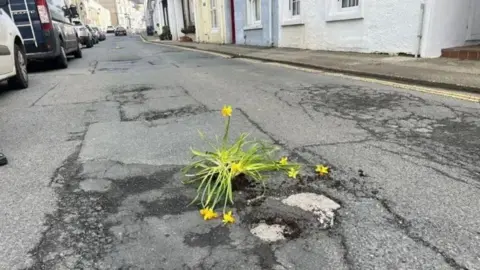 MICHELLE HAYWOOD Daffodils are planted in a large pothole on Port St Mary High Street.
