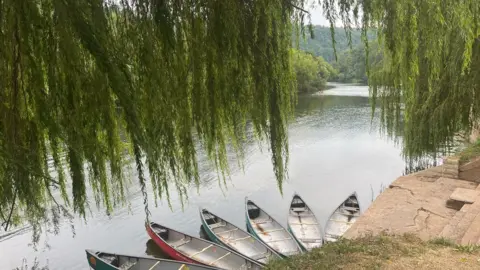 Canoe boats in the water, with overhanging tree branches in view