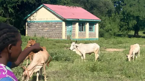 A young girl points across a grassy field in Kaliluni primary where several cows are grazing, with school buildings and large trees in the background