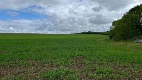 Field where a planned logistics park will be. It is mostly grass with some trees to the right hand-side.